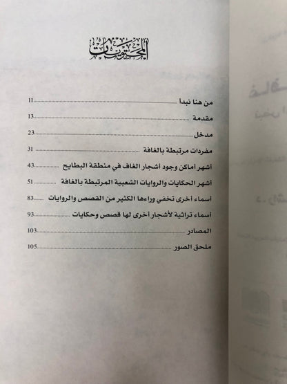 ⁨ غافات كنوغة : نبض المكان وذاكرة الزمان
