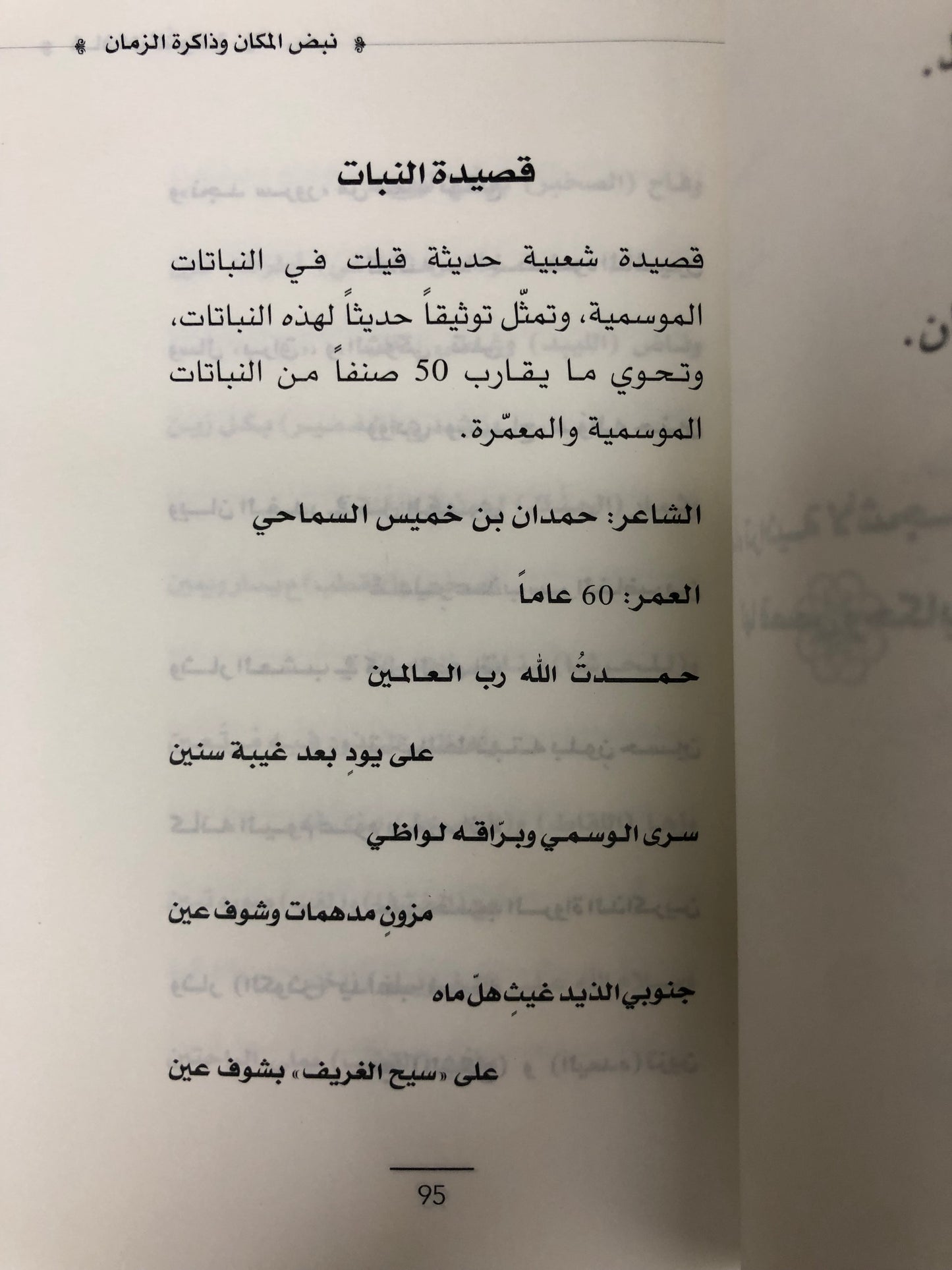 ⁨ غافات كنوغة : نبض المكان وذاكرة الزمان