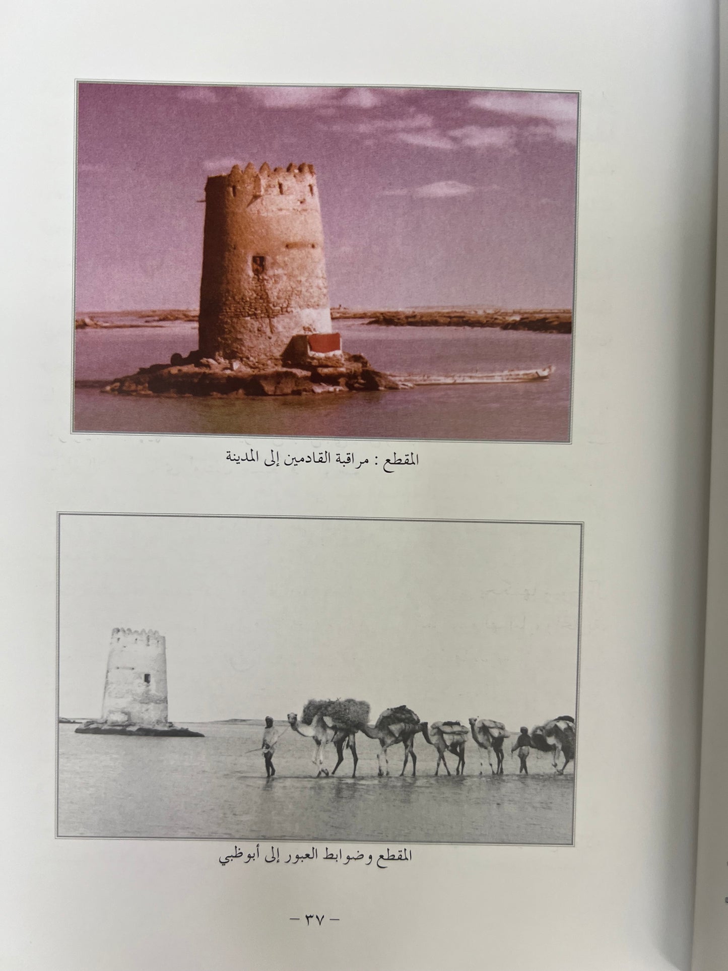 أبوظبي توحيد الإمارة وقيام الاتحاد