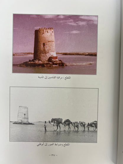 أبوظبي توحيد الإمارة وقيام الاتحاد