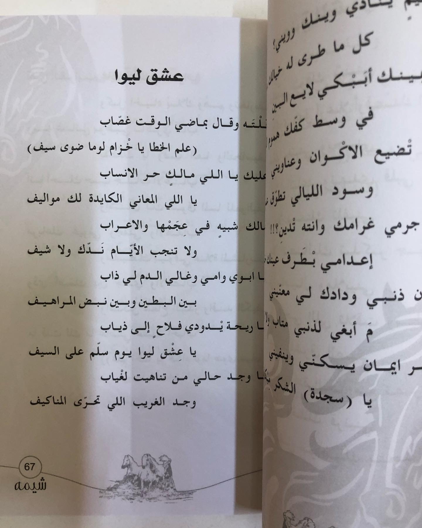 ديوان شيمة : للشاعرة ميثاء الهاملي