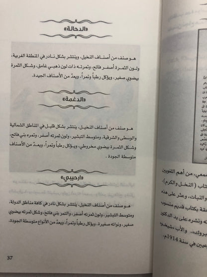 النخلة عروس الرمل والمدى : أبجدية نخيل الإمارات