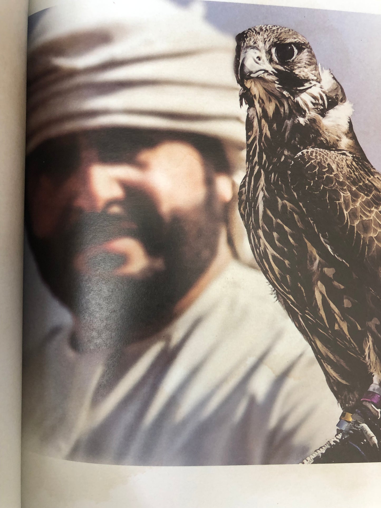القيم الإجتماعية