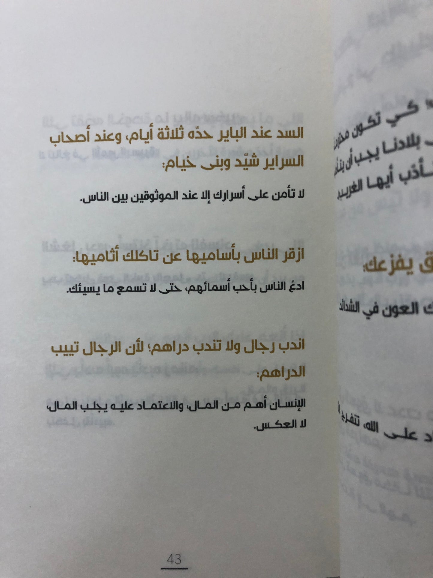 ‎أمثال السنع : باقة من الأمثال الشعبية الإماراتية