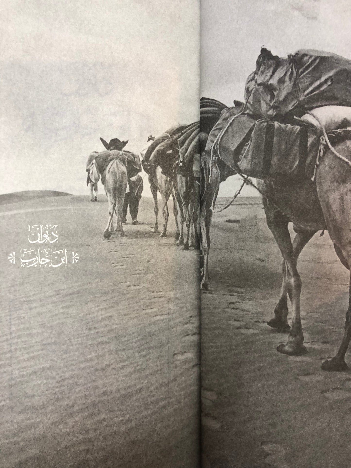 ⁨ ديوان ابن حارب : الشاعر محمد بن عبدالله بن حارب المهيري 1921-2001